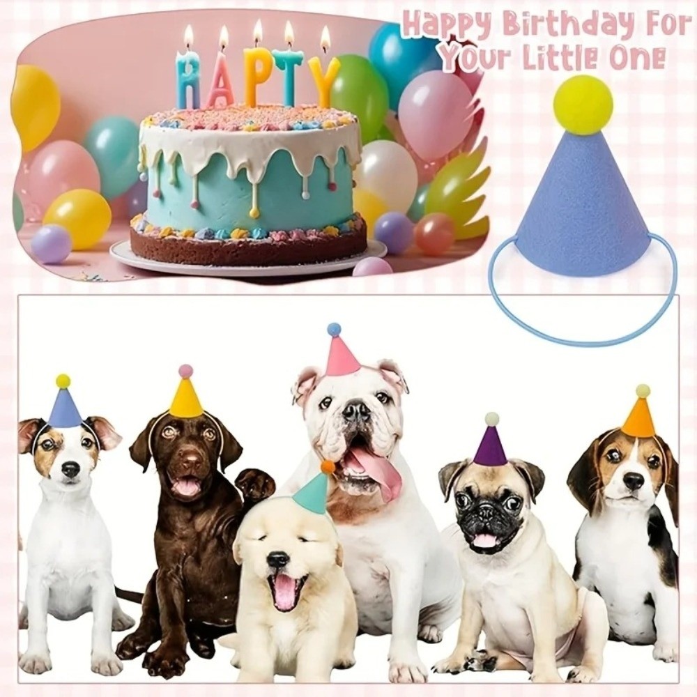 New 6pcs Set Mini Party Hats L - đánh giá và giá Party Hat Cone